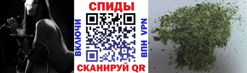 shop состав  Каргат  БУТИРАТ оксибутират 