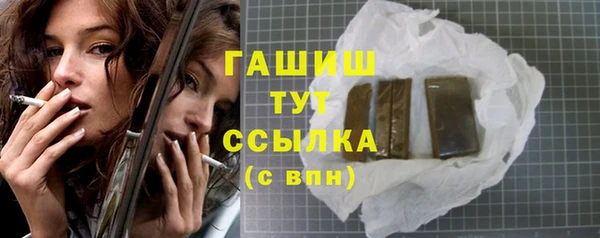 индика Володарск