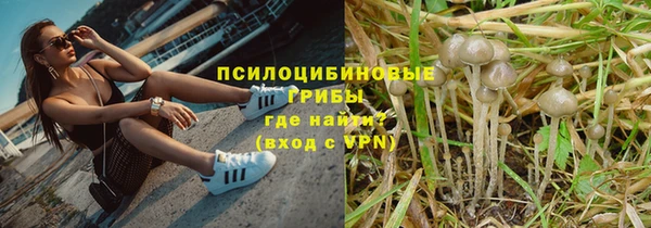 ALPHA PVP Алзамай