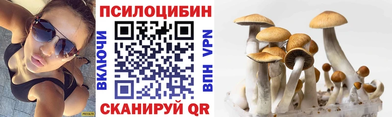 купить наркоту  Каргат  Псилоцибиновые грибы MAGIC MUSHROOMS 